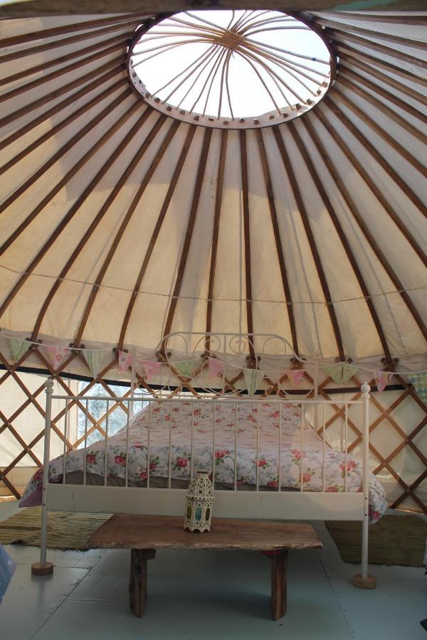 Mill Haven Place Glamping Yurt 3 Хаверфордуэст Экстерьер фото